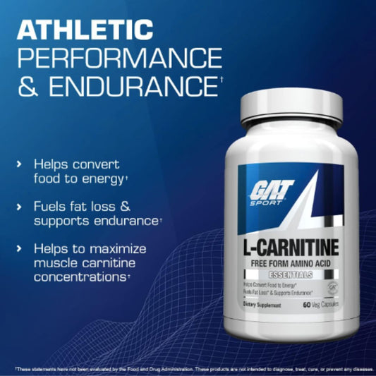 GA l-carnitine 500 mg 60 caps